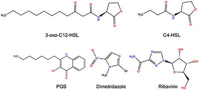 Repurposing Dimetridazole and Ribavirin to disarm Pseudomonas aeruginosa virulence by targeting the quorum sensing system